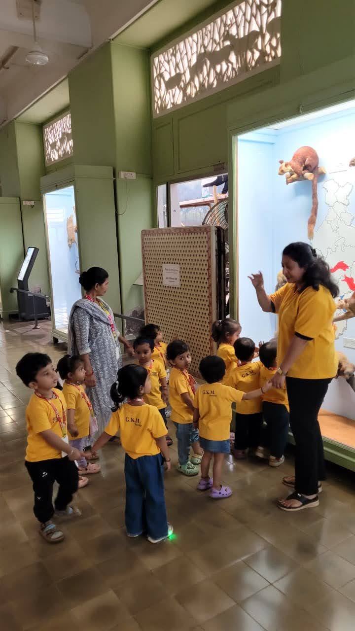 Visit To Museum