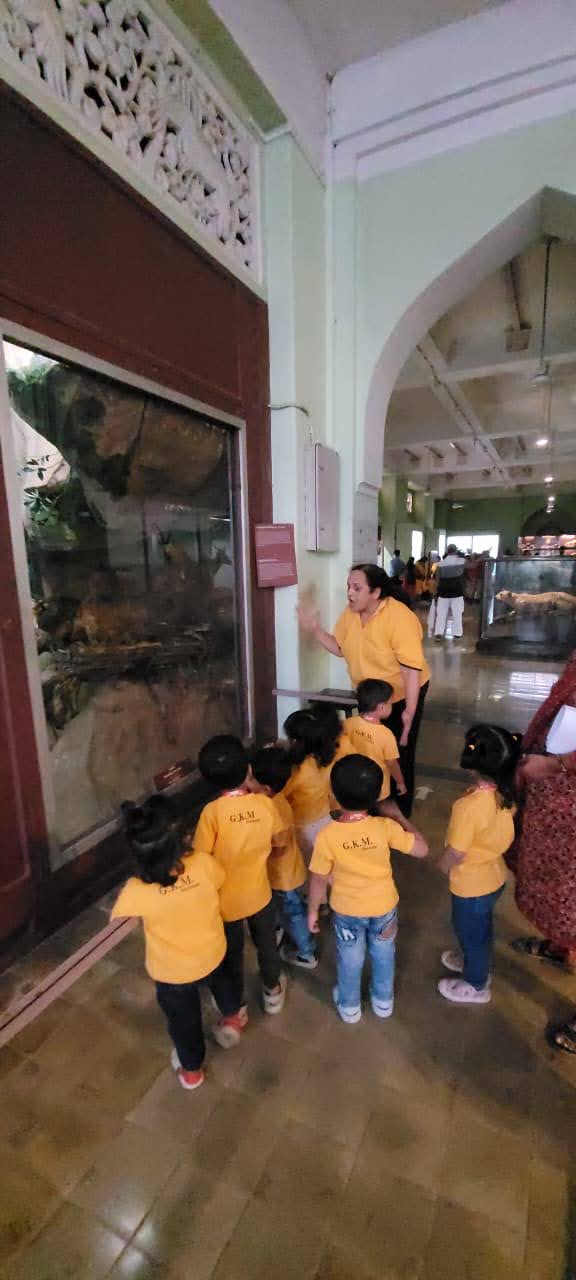 Visit To Museum