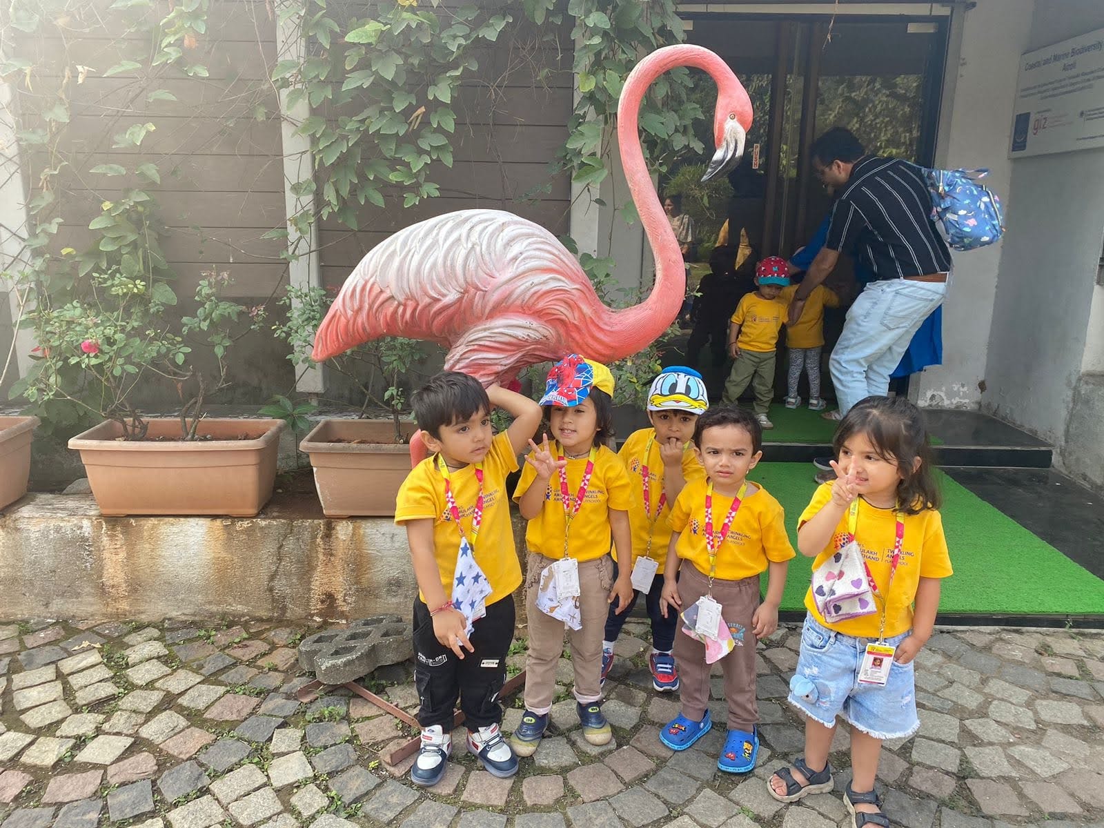 Flamingo Ride